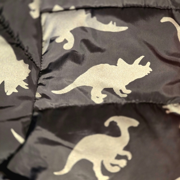 🔵 ☆ NWOT ☆ Wonder Nation Toddler Dino Print Bubble Jacket 2T Orange Grey - Picture 13 of 14